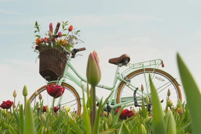 the secret farm brand content